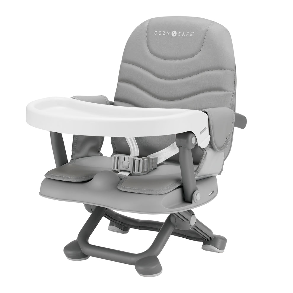 Cozy N Safe Dee Baby Booster High Chair with harness and tray